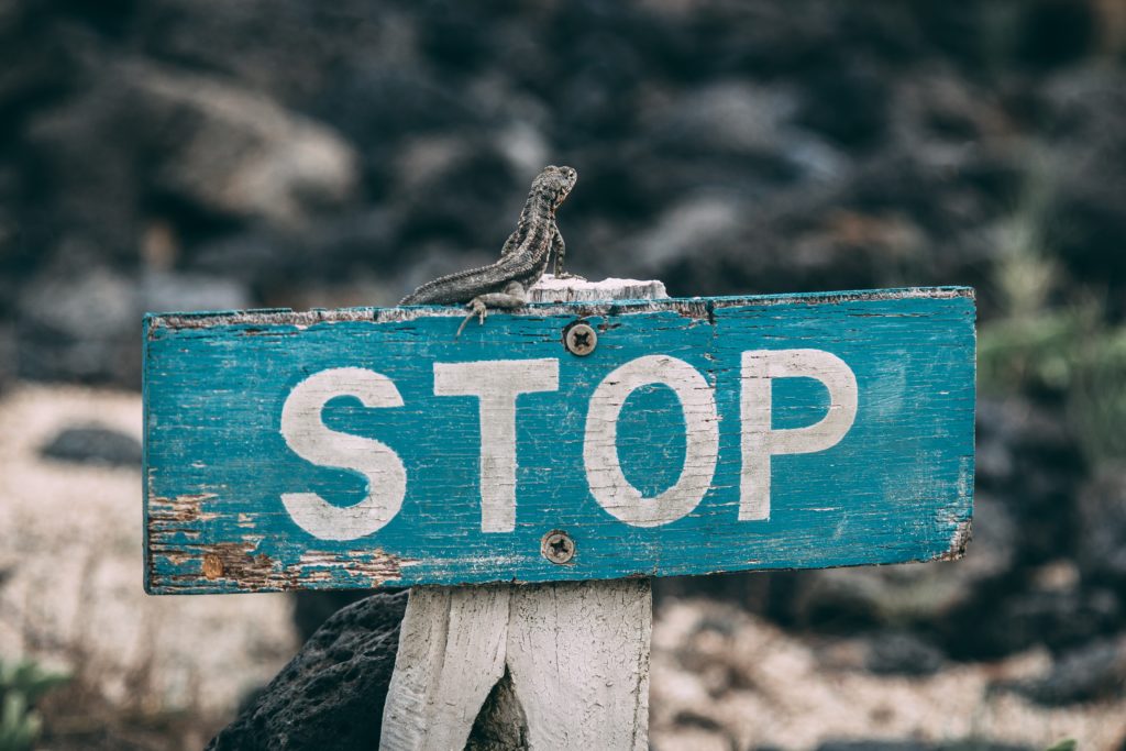 Photo of sign with the word stop by Jose Aragones on Unsplash